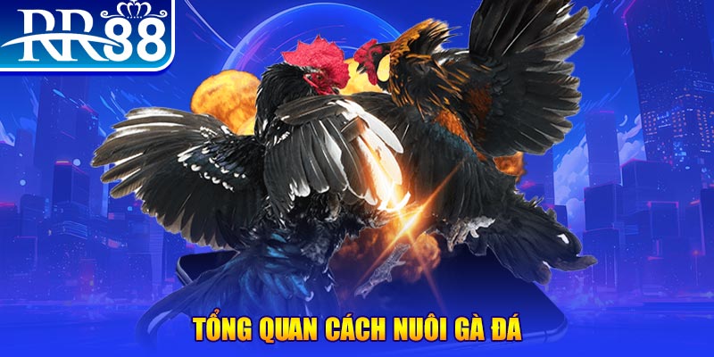 mb 666 game nổ hũ rút tiền mặt là gì