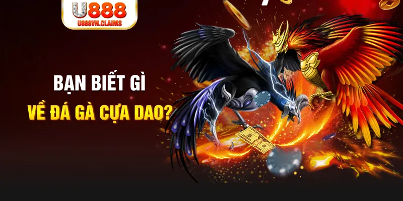 mb 666 SW Xổ Số