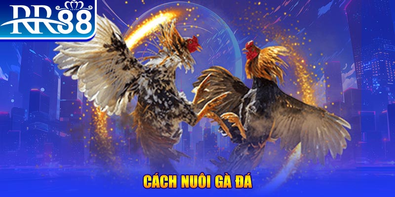 mb 666 đăng nhập phỏm đổi thưởng