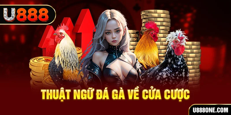 mb 666 hơn cả bạn bè