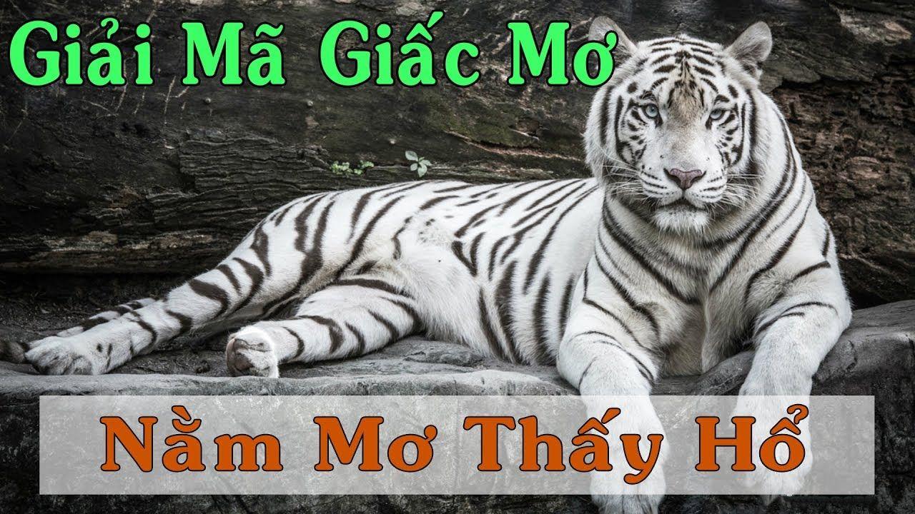 mb 666 nổ hũ là game gì