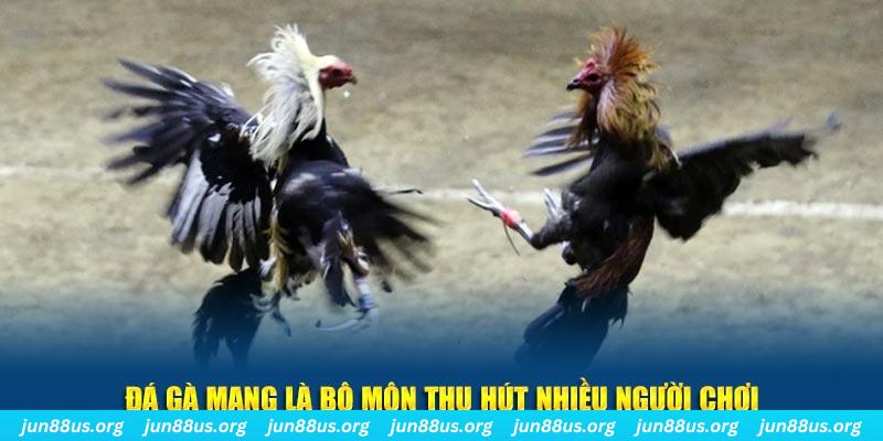 mb 666 nổ hủ nghĩa là gì