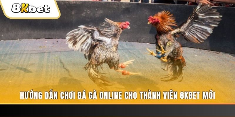 mb 666 JILI Game Bài 3d