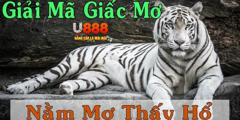 mb 666 xổ số miền bắc xổ số miền bắc