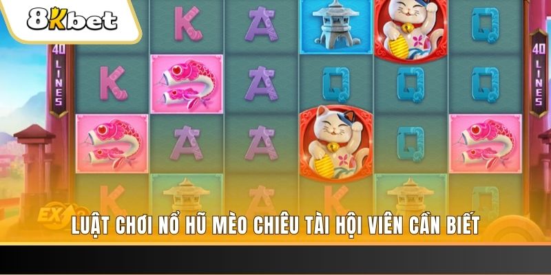 mb 666 máy bay nổ hủ