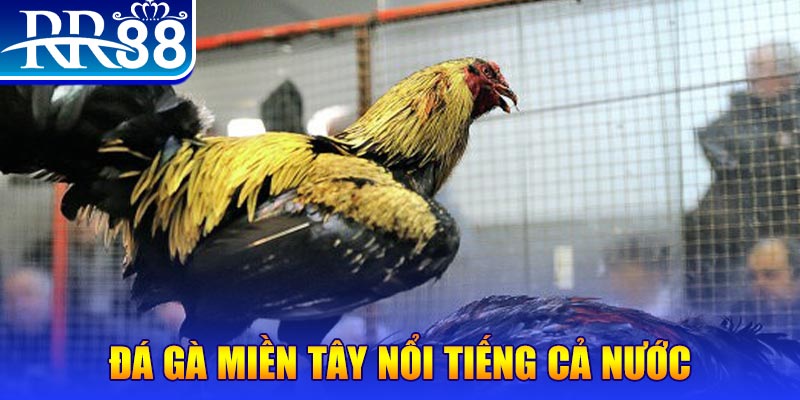 mb 666 xổ số đại phát