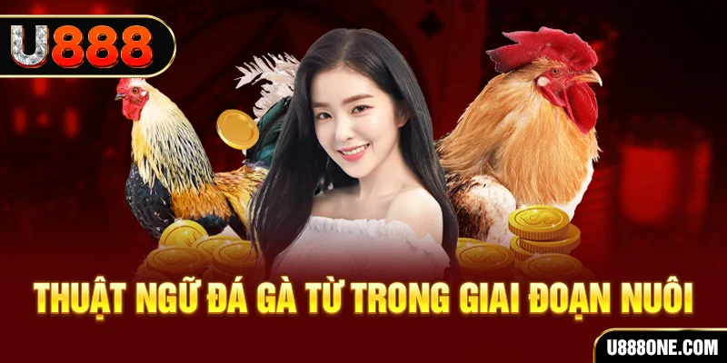 mb 666 xổ số miền bắc 90 ngày
