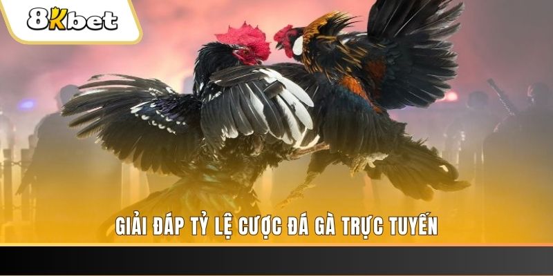 mb 666 ga choi cau thanh