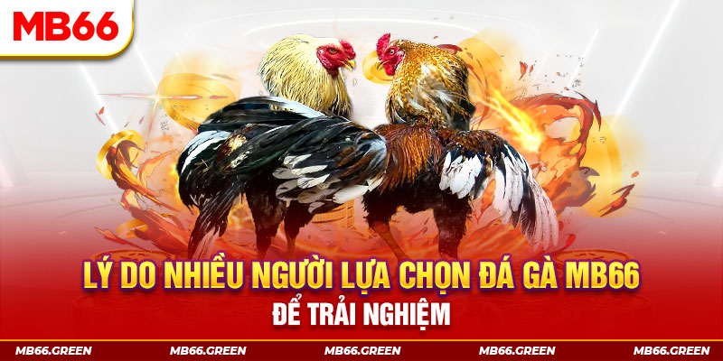 mb 666 đăng nhập liêng trực tiếp
