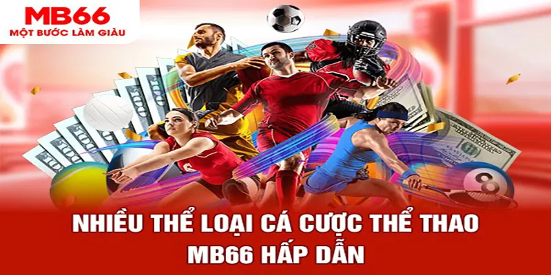 mb 666 đá gà thomo