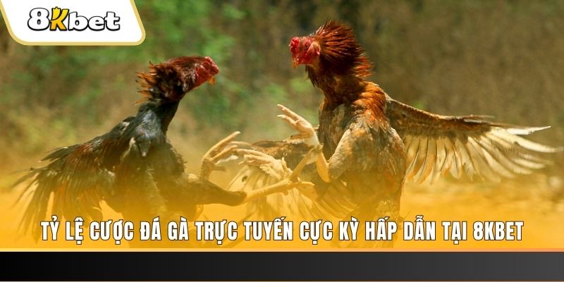 mb 666 đăng nhập nổ hũ trực tuyến