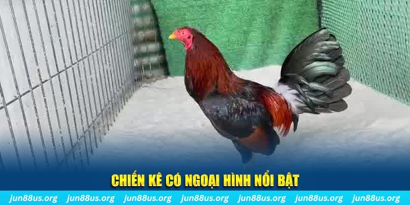 mb 666 game bắn cá