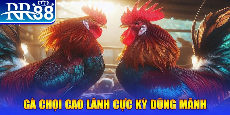 mb 666 HB Điện Tử
